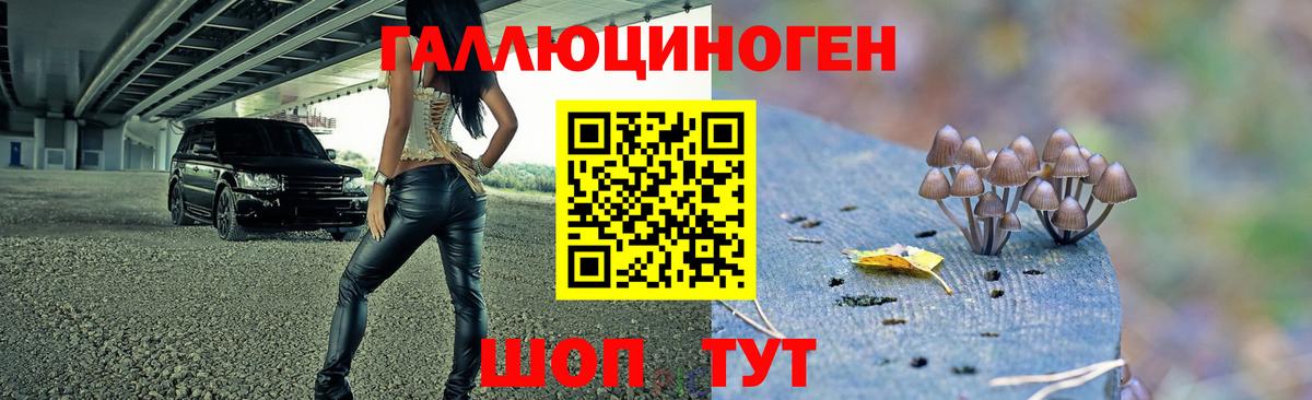 Галлюциногенные грибы MAGIC MUSHROOMS Сорочинск
